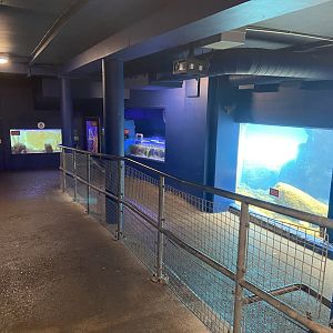 Bristol Zoo Seal and Penguin Coasts