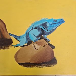 Grand Cayman Blue Iguana painting