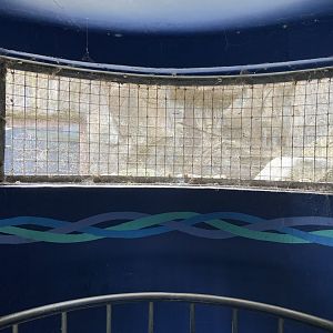 Bristol Zoo Seal and Penguin Coasts