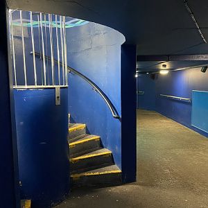 Bristol Zoo Seal and Penguin Coasts