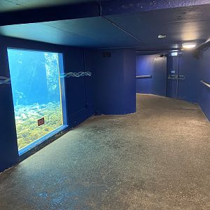 Bristol Zoo Seal and Penguin Coasts