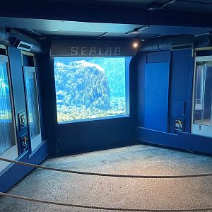 Bristol Zoo Seal and Penguin Coasts