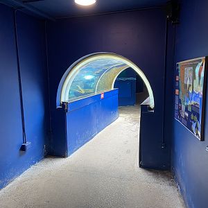 Bristol Zoo Seal and Penguin Coasts