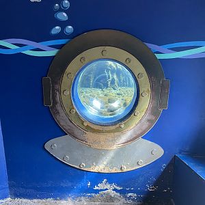 Bristol Zoo Seal and Penguin Coasts