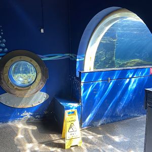 Bristol Zoo Seal and Penguin Coasts