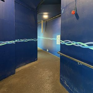 Bristol Zoo Seal and Penguin Coasts