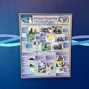 Bristol Zoo Seal and Penguin Coasts