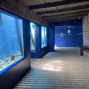 Bristol Zoo Seal and Penguin Coasts