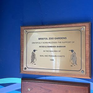 Bristol Zoo Seal and Penguin Coasts