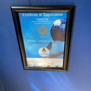 Bristol Zoo Seal and Penguin Coasts