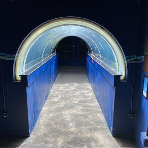 Bristol Zoo Seal and Penguin Coasts