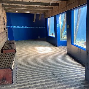 Bristol Zoo Seal and Penguin Coasts