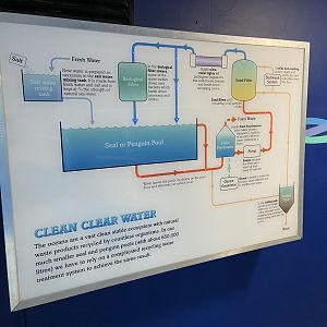 Bristol Zoo Seal and Penguin Coasts