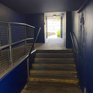 Bristol Zoo Seal and Penguin Coasts