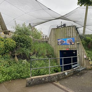 Bristol Zoo Seal and Penguin Coasts