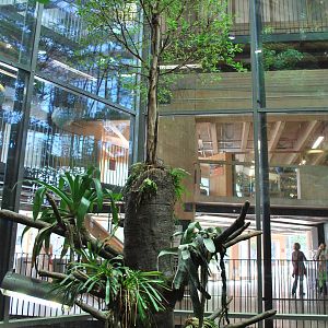 Universeum - The Rain Forest