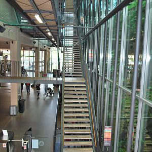 Universeum - The Rain Forest