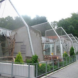 Primate enclosures at Krakow 08/09/2008