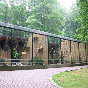 Lynx enclosure at Krakow 08/09/2008