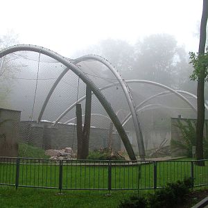 Big cat enclosures at Krakow 08/09/2008