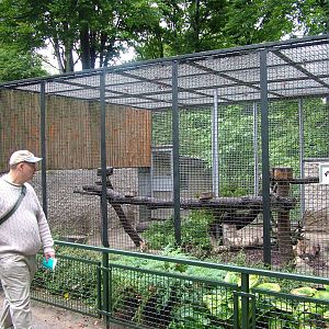 Jungle Cat enclosure at Krakow 08/09/2008