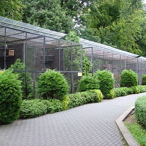 Aviaries at Krakow 08/09/2008