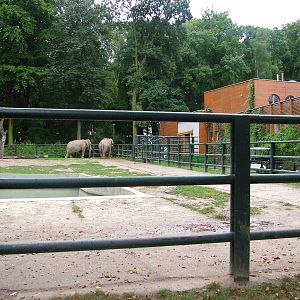Elephant enclosure at Krakow 08/09/2008