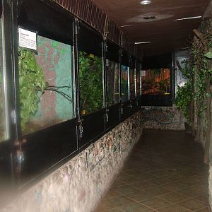 Terrarium interior at Krakow 08/09/2008