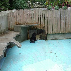 Sealion pool emptied for cleaning at Krakow 08/09/2008