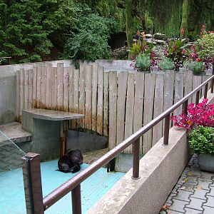 Sealion pool emptied for cleaning at Krakow 08/09/2008