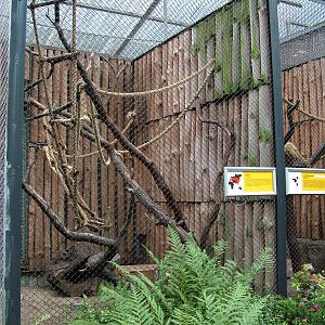 Small mammal enclosures at Krakow 08/09/2008