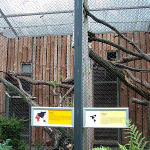 Small mammal enclosures at Krakow 08/09/2008