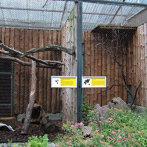 Small mammal enclosures at Krakow 08/09/2008