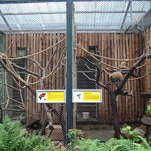 Small mammal enclosures at Krakow 08/09/2008