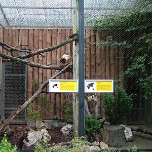 Small mammal enclosures at Krakow 08/09/2008