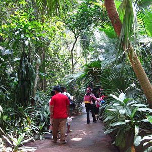 Fragile Forest Biodome, Singapore Zoo