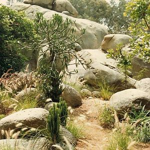 Kopje 1986 - Landscape