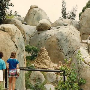 Kopje 1986 - Mammal Exhibit