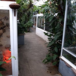 Malmoe Reptile Center - Terraria