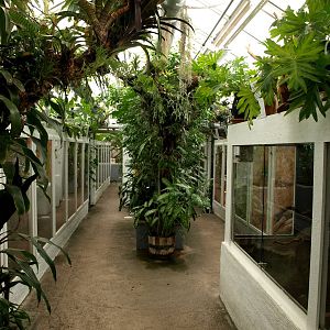 Malmoe Reptile Center - Terraria