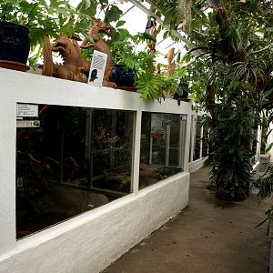 Malmoe Reptile Center - Terraria