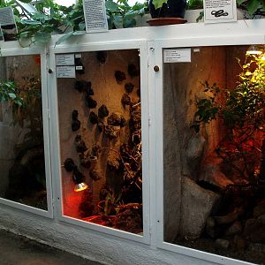 Malmoe Reptile Center - Terraria
