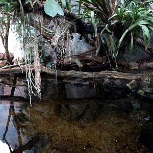 Malmoe Reptile Center - Crocodile exhibit