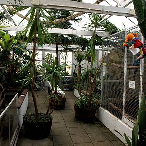 Malmoe Reptile Center - Greenhouse
