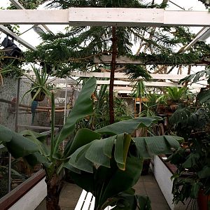 Malmoe Reptile Center - Greenhouse