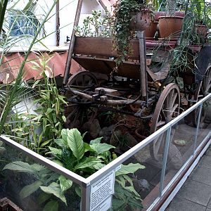 Malmoe Reptile Center - Desert exhibit