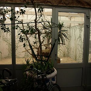 Malmoe Reptile Center - Wallaby indoor exhibit