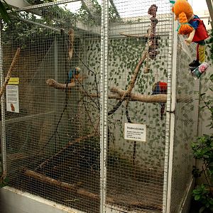Malmoe Reptile Center - Macaw aviary
