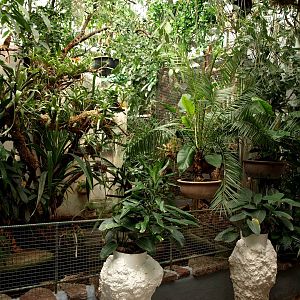 Malmoe Reptile Center - Monkey house