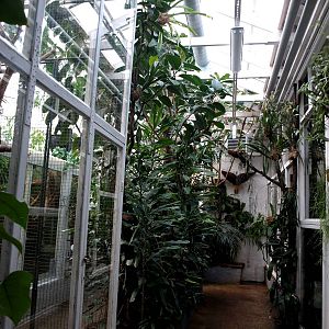 Malmoe Reptile Center - Monkey house